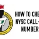 How to Check and Print NYSC Call Up Letter with Phone 2022/2023